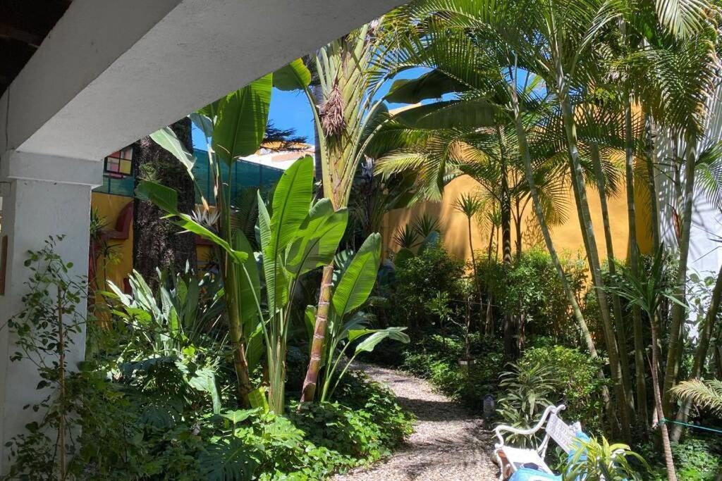 Duplex Centrico Frente A Hotel Monasterio, Playas Y Pinares En Las Proximidades Ель-Пуерто-де-Санта-Марія Екстер'єр фото